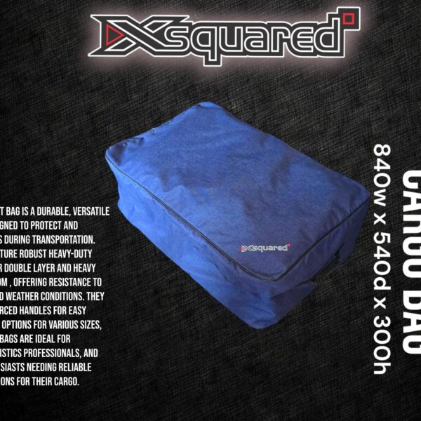 Blue Cationic Cargo Bag (840mm x 540mm x 300mm)